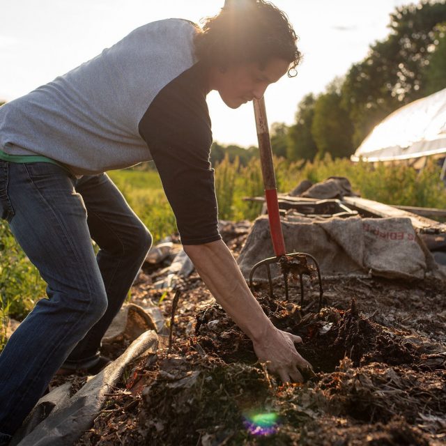 A man gardening in a field.