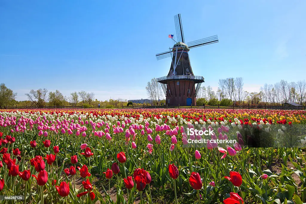 City of Holland photo