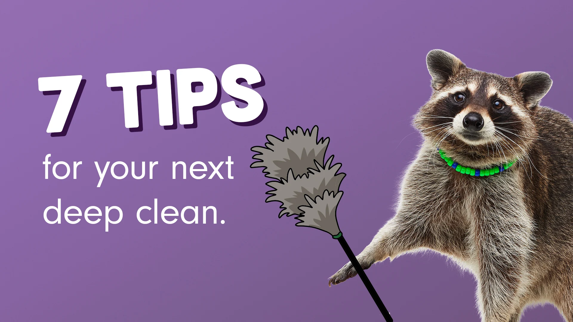 Spring Cleaning website content graphic: Cleaning MAINHeader 002