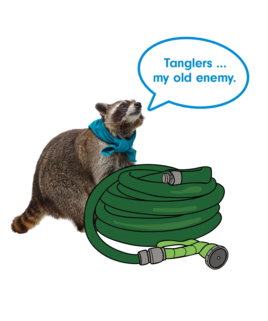 Spring Cleaning website content graphic: Cleaning PopUp Tanglers 003