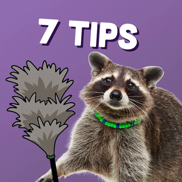 Nyla’s (& Friends’) Tips for Spring Recycling