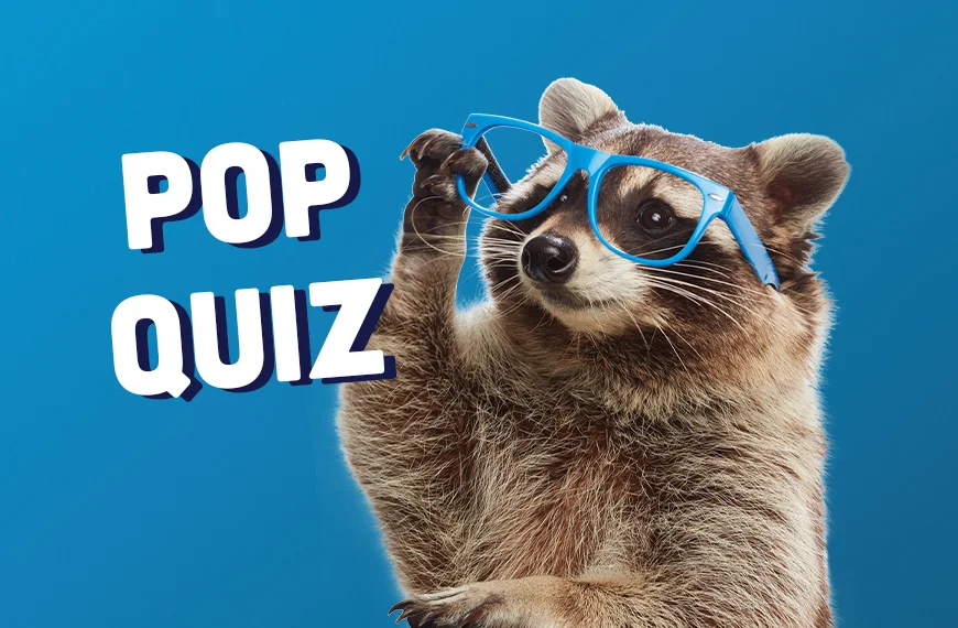 Pop (Can) Quiz + Answers