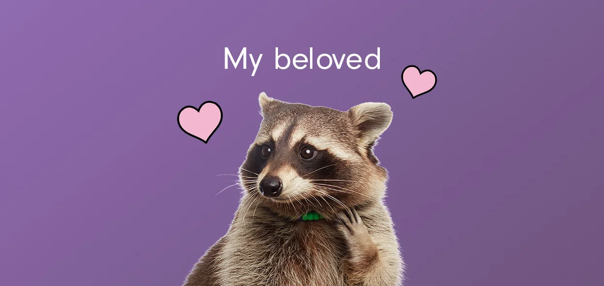 Nyla the raccoon in a green beaded collar against purple, with the words My beloved and two hearts.