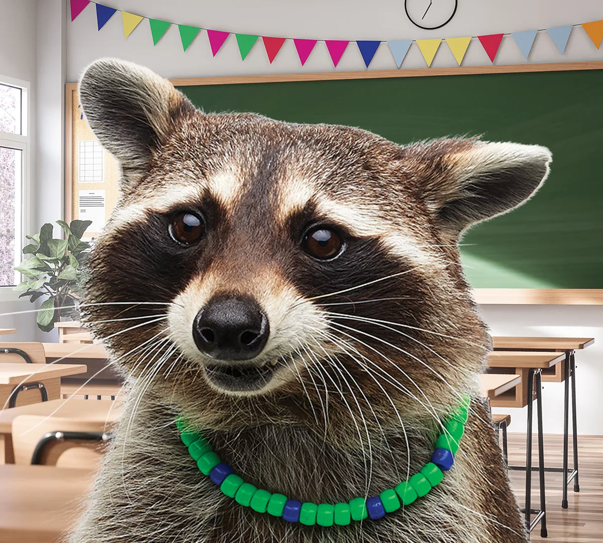 Nyla in a green beaded collar at the front of a classroom hung with paper bunting.