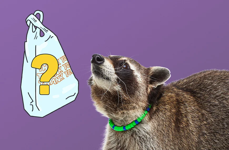 Plastic Bags — What’s The Deal?